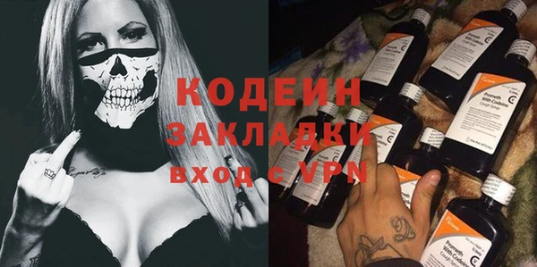 дурь Инсар