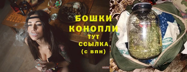 дурь Инсар