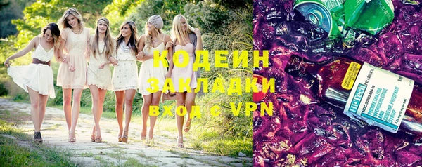 дурь Инсар