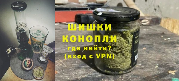 дурь Инсар