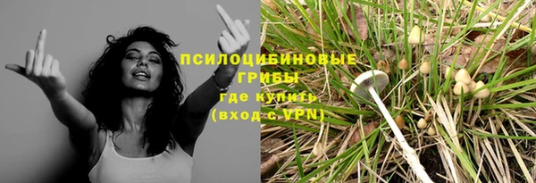 мяу мяу кристалл Инта