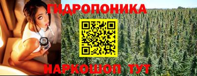 ГАЛЛЮЦИНОГЕННЫЕ ГРИБЫ Ирбит