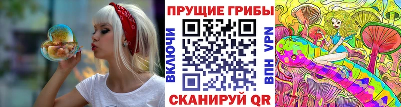 цена   Канск  Псилоцибиновые грибы ЛСД 
