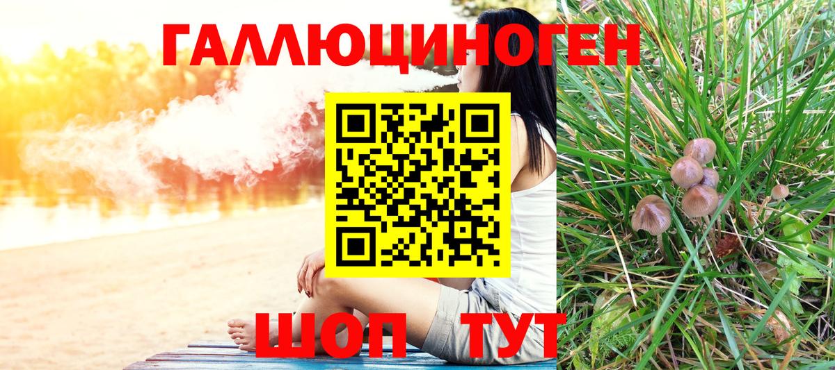 Канск  Псилоцибиновые грибы прущие грибы  Галлюциногенные грибы ЛСД  Вход с VPN 