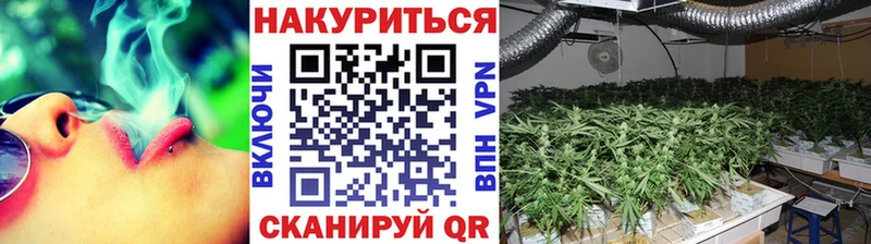 Каннабис гибрид наркота Канск